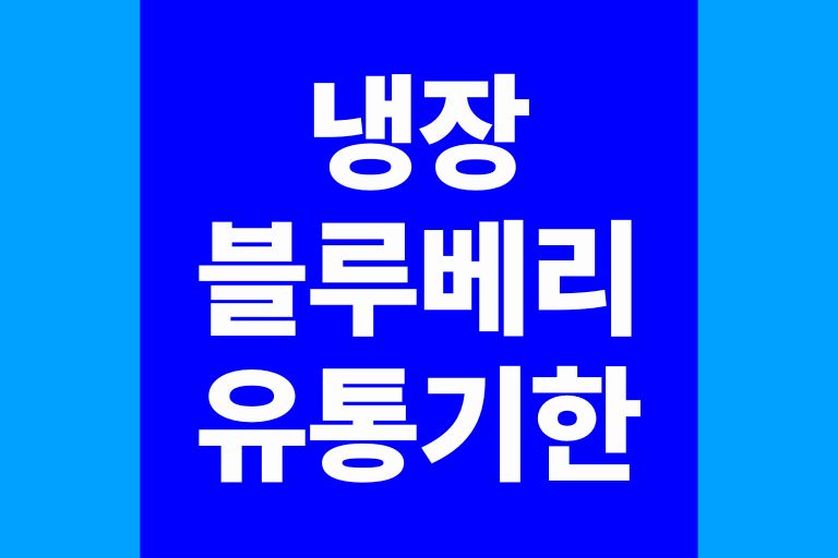 냉장 블루베리 유통기한